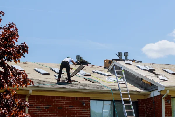 home-roof-construction-applying-roof-new-shingles-2026-01-09-08-29-41-utc home-roof-construction-applying-roof-new-shingles-2026-01-09-08-29-41-utc